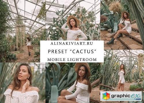 Alina Kiviart - Cactus Lightroom/ACR & Mobile Presets