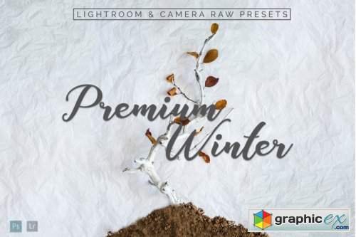 Premium Winter Lightroom Presets