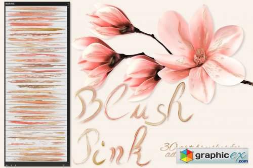 Blush Pink Brushes for Illustrator