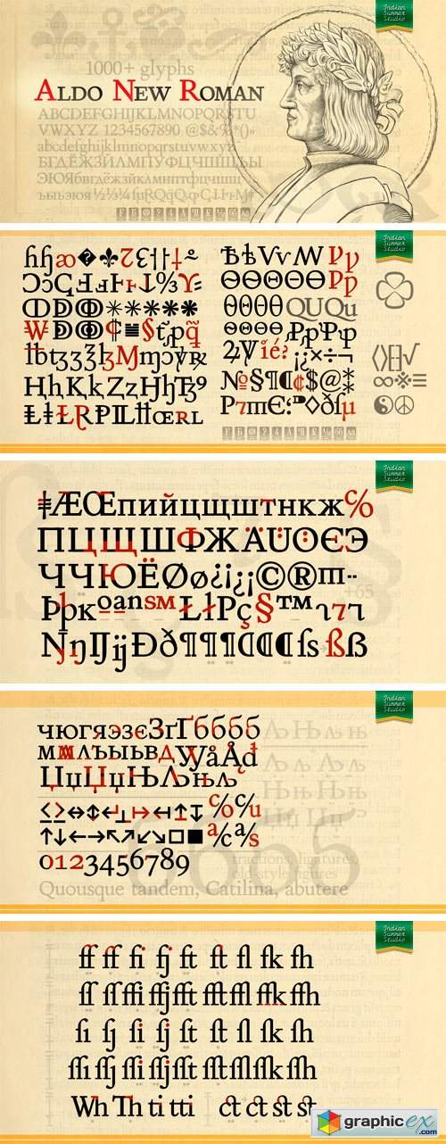 Aldo New Roman Font