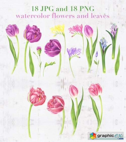 Spring Garden Watercolor Set