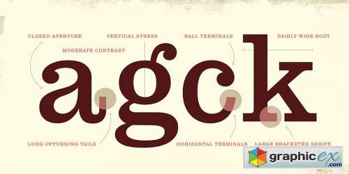 Pulpo Font Family - 10 Fonts