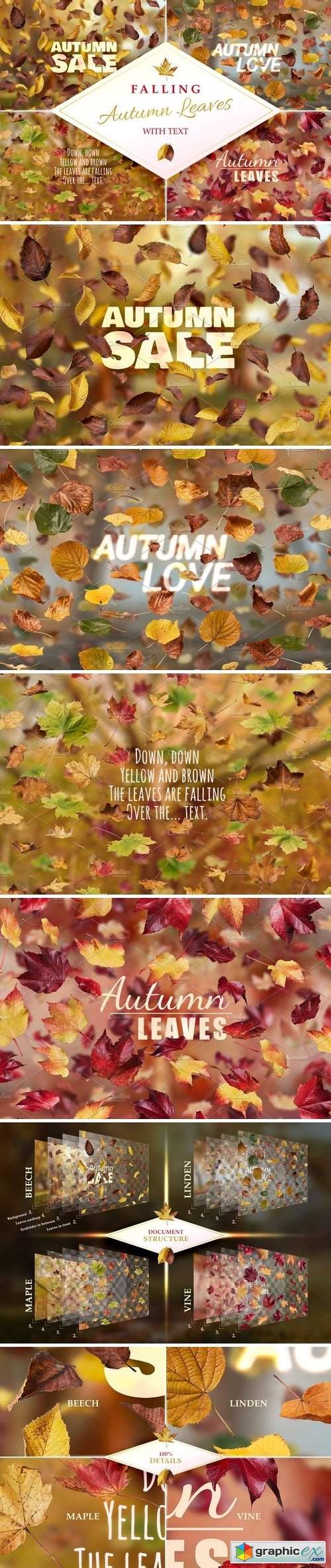 Falling Autumn Leaves with Text