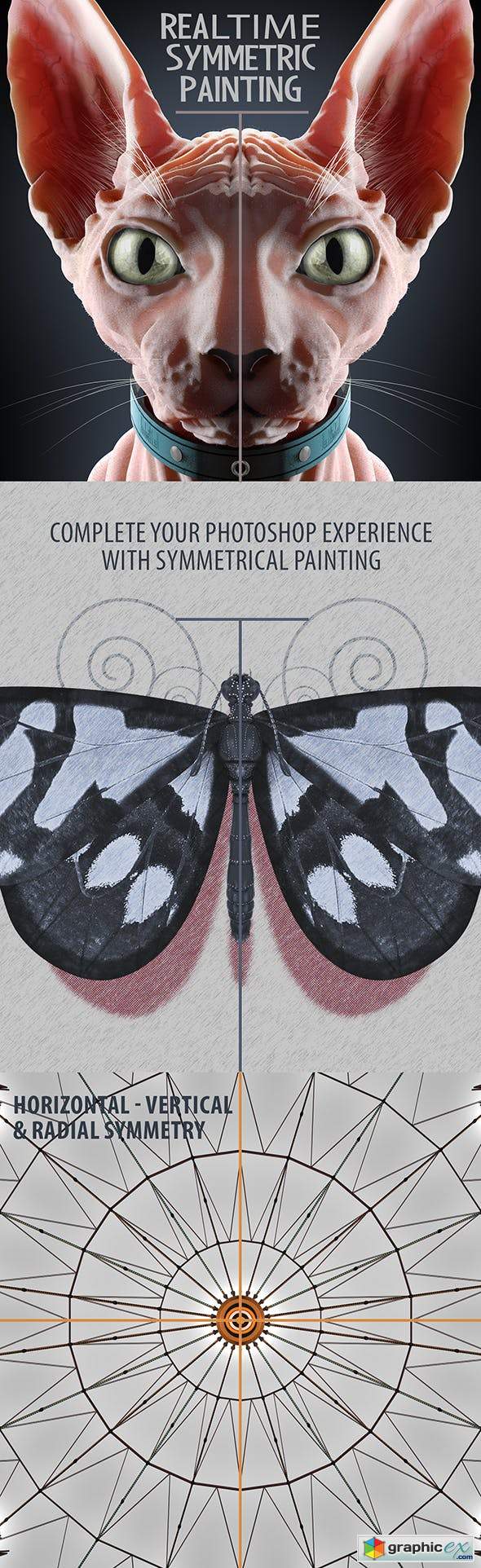 Realtime Symmetry Painting