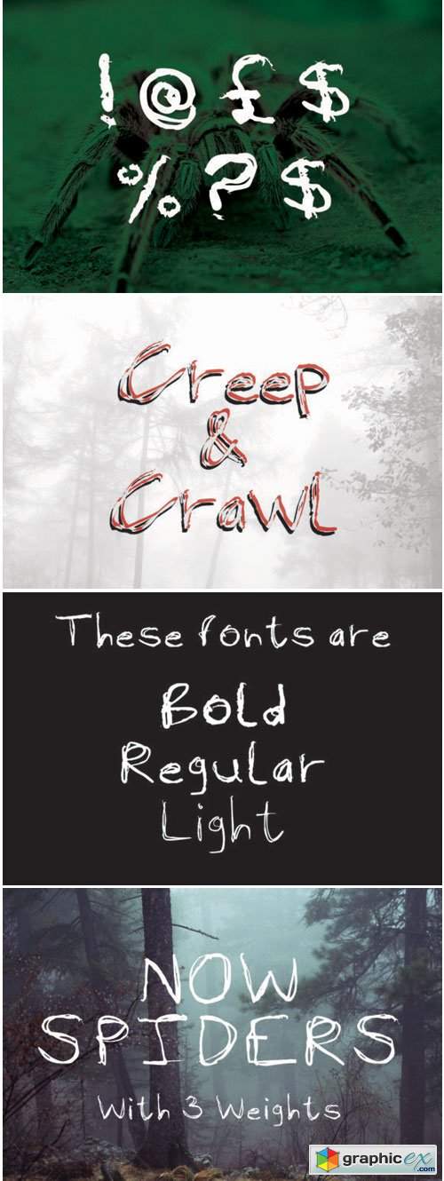 Now Spiders Font