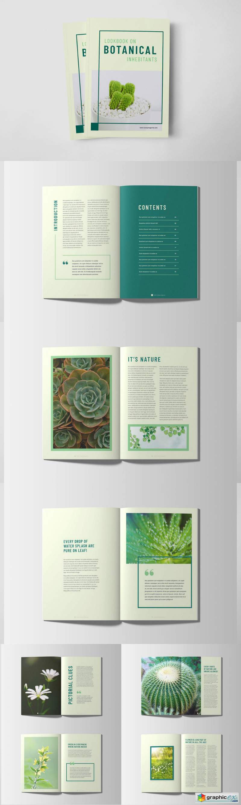 Botanical Lookbook Magazine