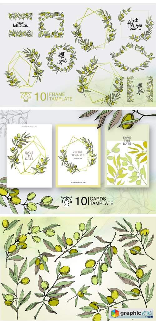 Olives Vector EPS Watercolor Set