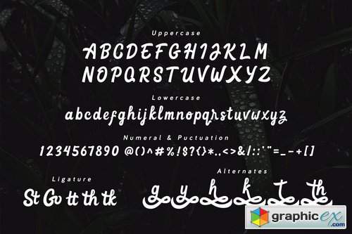 Goteru - Eyecatching Script Font