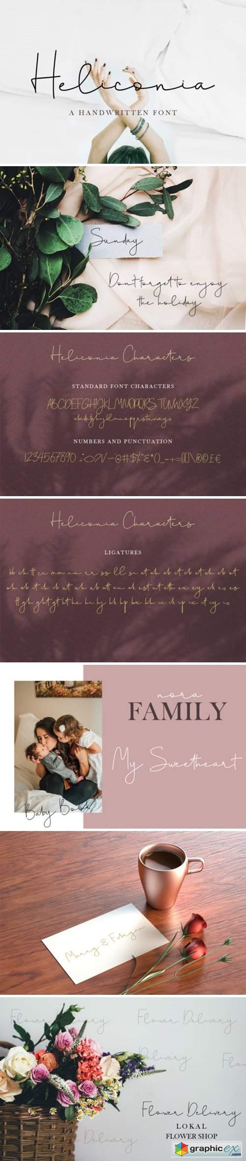 Heliconia Script Font