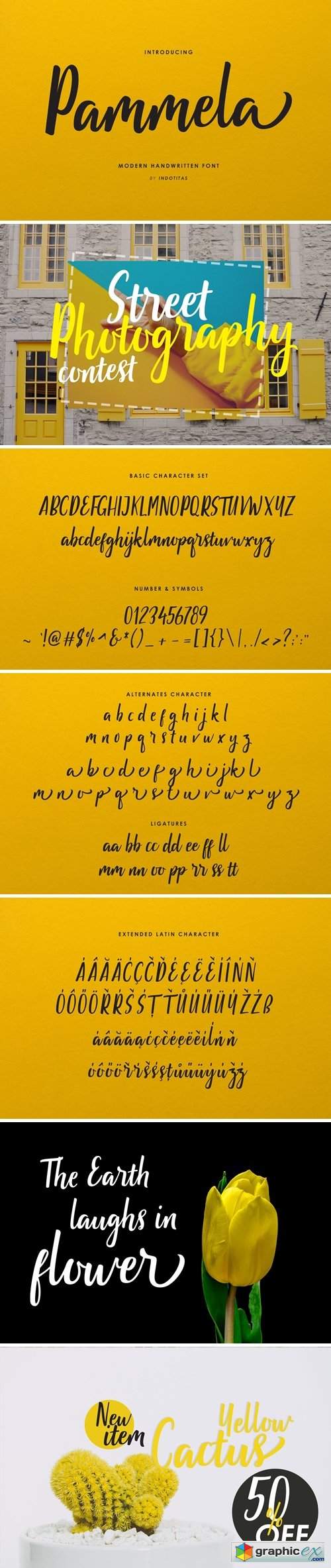 Pammela Script Font