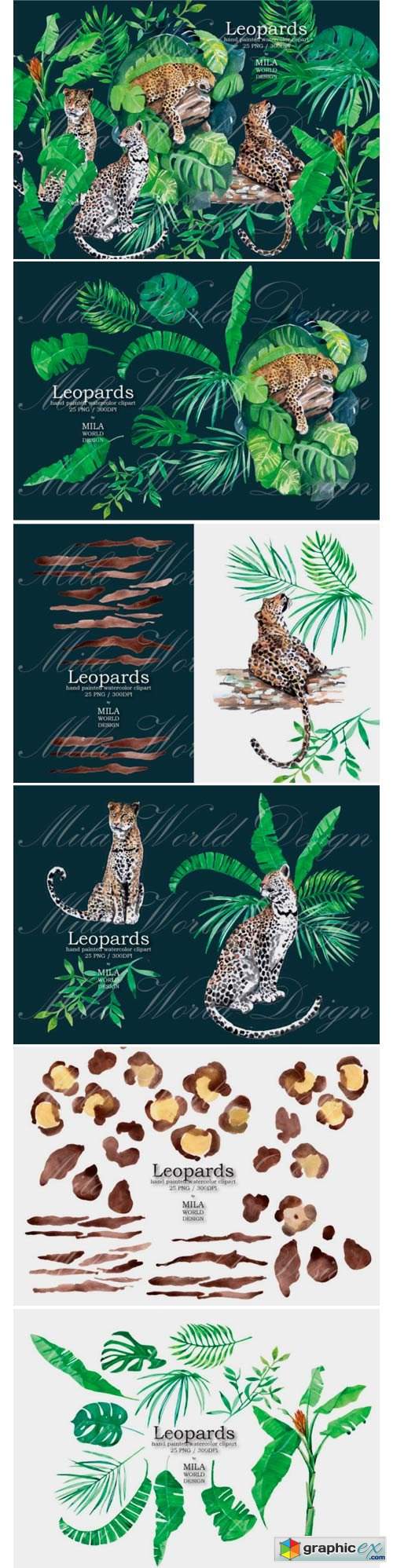 Leopards Watercolor Clip Art