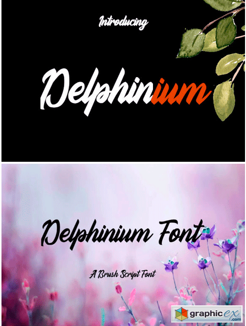 Delphinium Font
