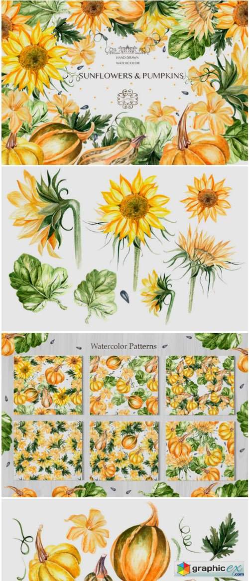 Watercolor Sunflower & Pumpkins