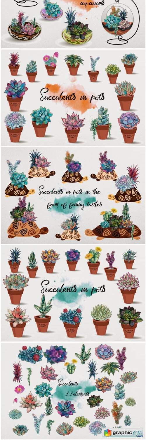 Succulents Watercolor Graphics