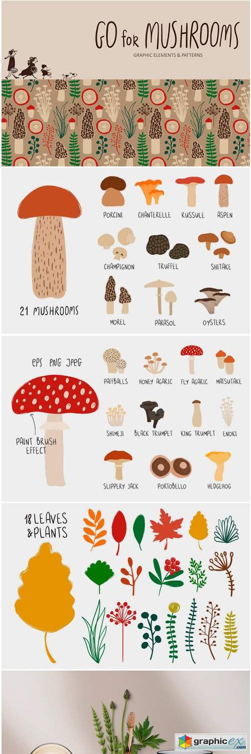 Go for Mushrooms. Forest Collection.