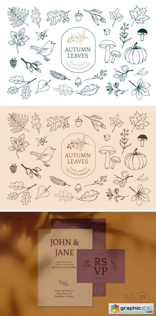 Fall Forest Leaf Vector Illustrations