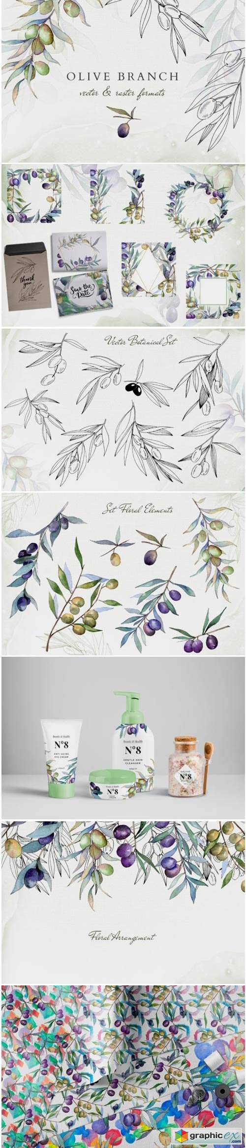 Olive Branches Collection Watercolor