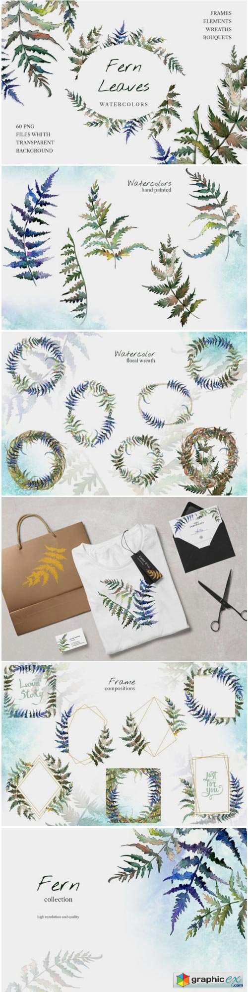 Fern Leaf Clipart Watercolor Png
