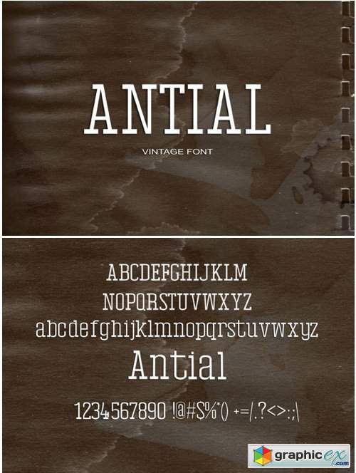 Antial Font