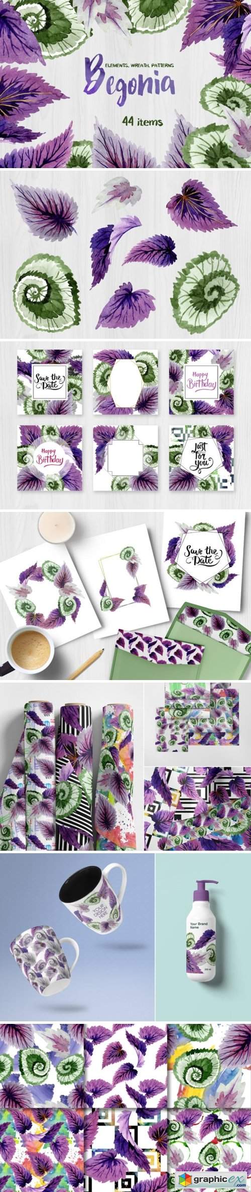 Decorative Begonia Purple Watercolor