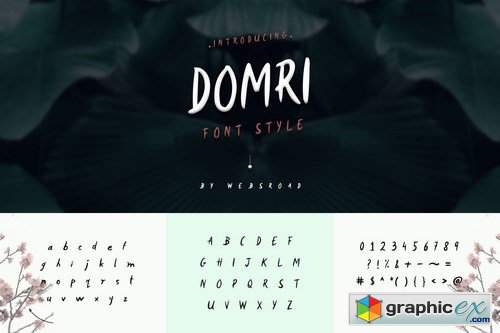 Domri - Fresh Handwritten Font Style