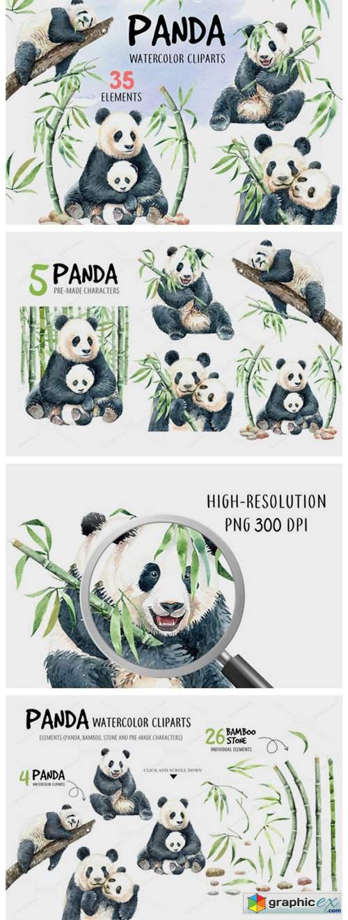 Panda Watercolor Animal Clip Art