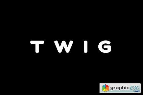 TWIG - Unique Display Headline Logo Typeface