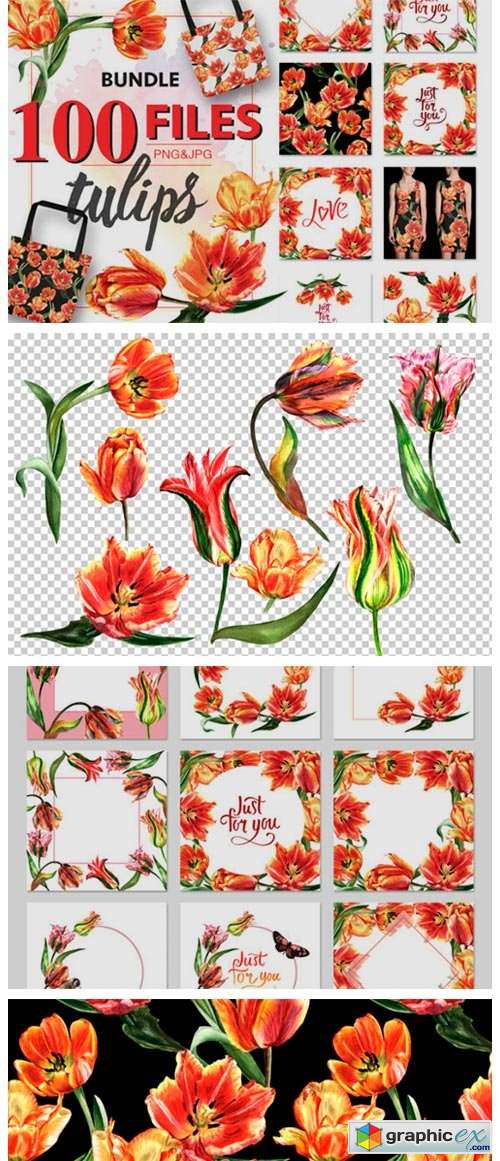 Tulip Red PNG Watercolor Flower Set