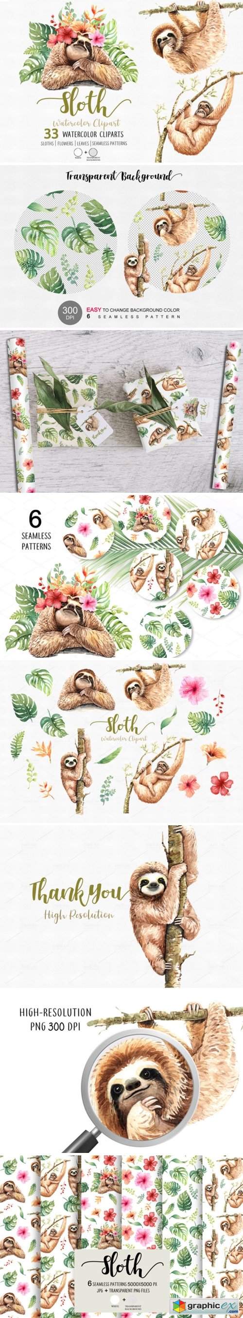 Sloth. Animals Watercolor Cliparts.
