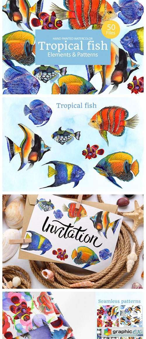 Fish Illustration Watercolor