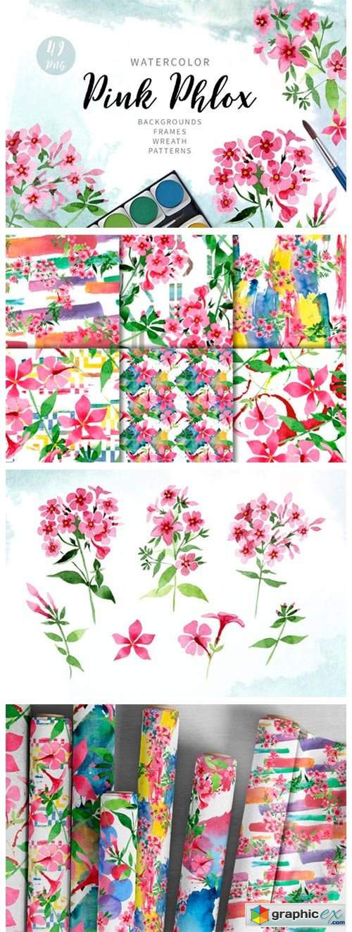 Pink Phlox Flower Watercolor