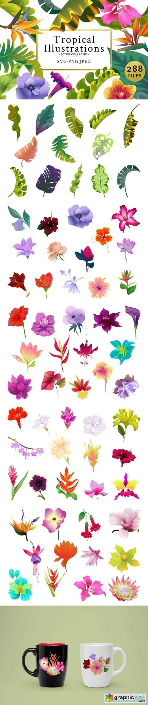  Flowers Tropical Illustration Pack Water 