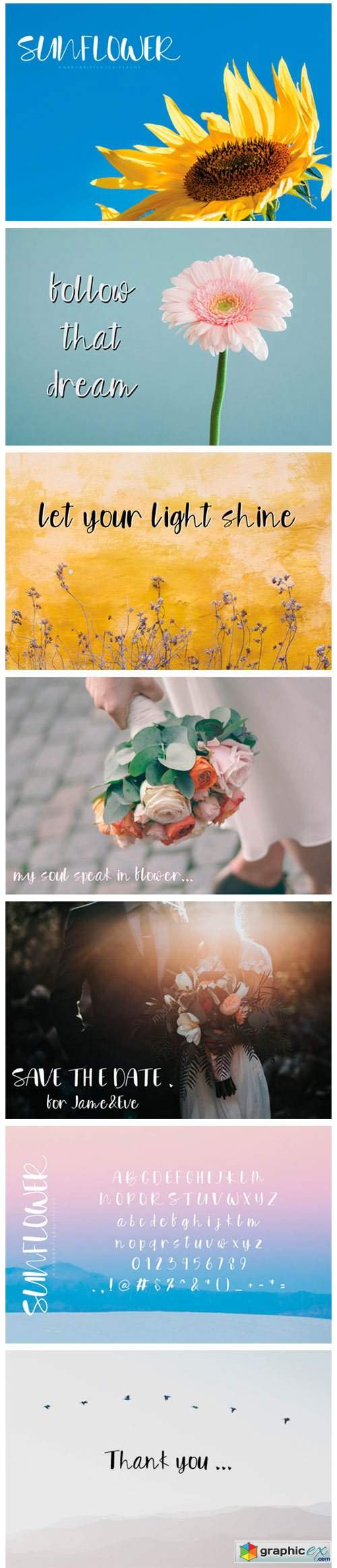  Sunflower Font 