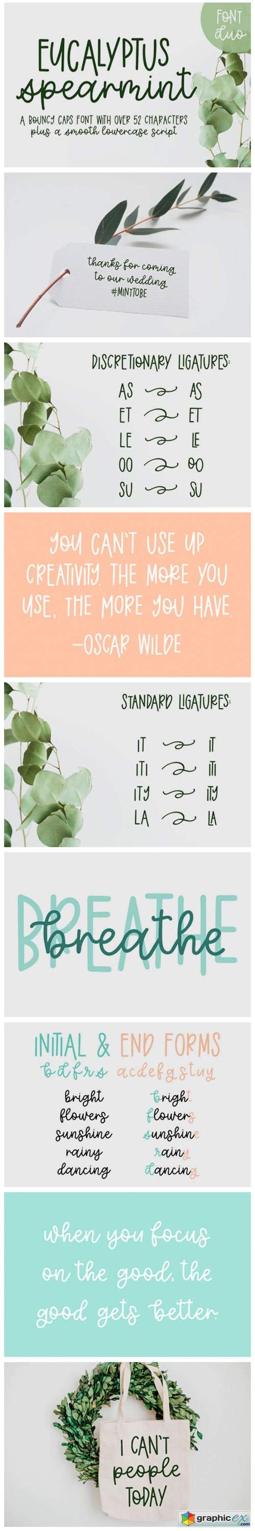  Eucalyptus Spearmint Font 