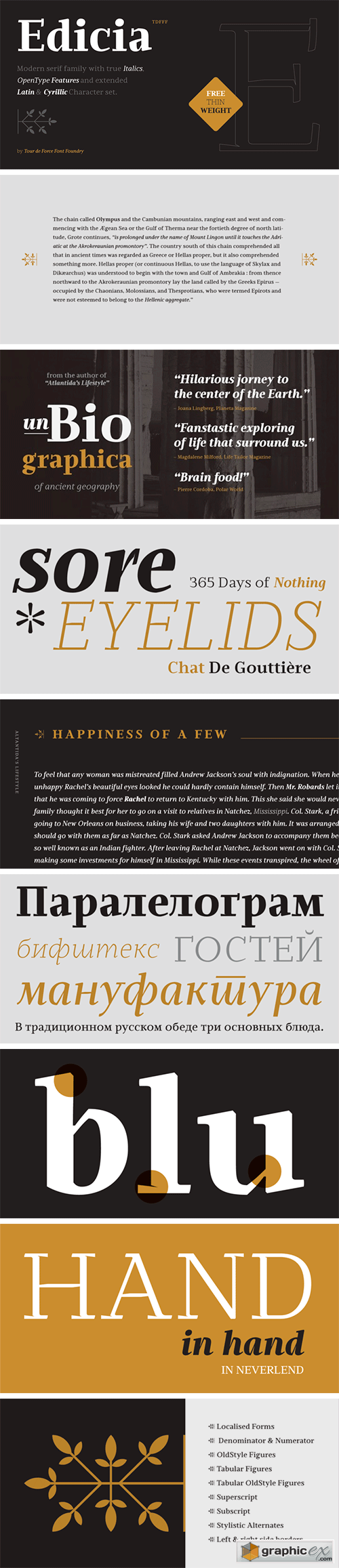  Edicia Font Family 