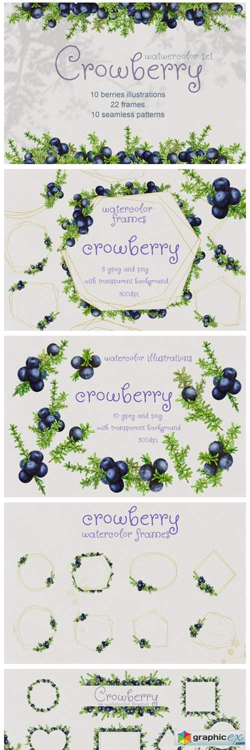 Crowberry. Watercolor Set Illustrations
