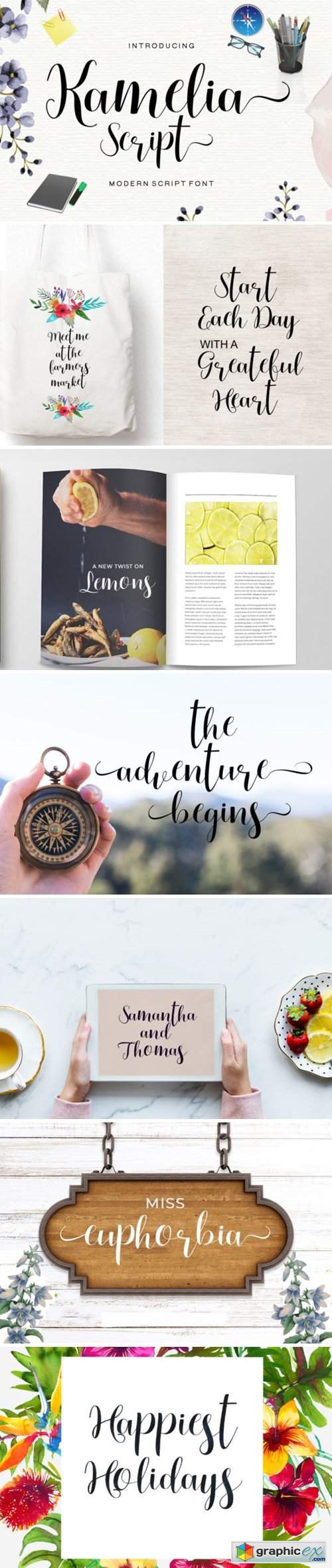  Kamelia Script Font 