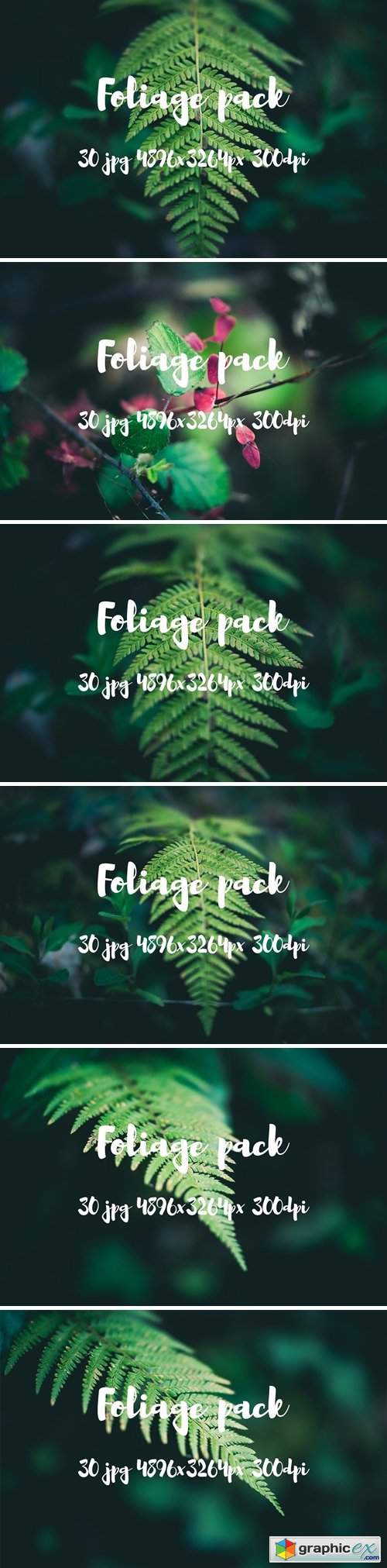 Foliage pack 