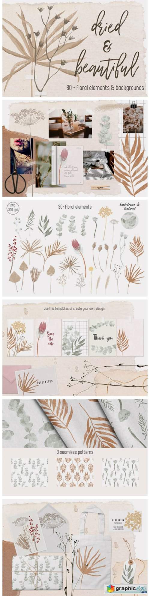  Dried Flowers and Backgrounds 