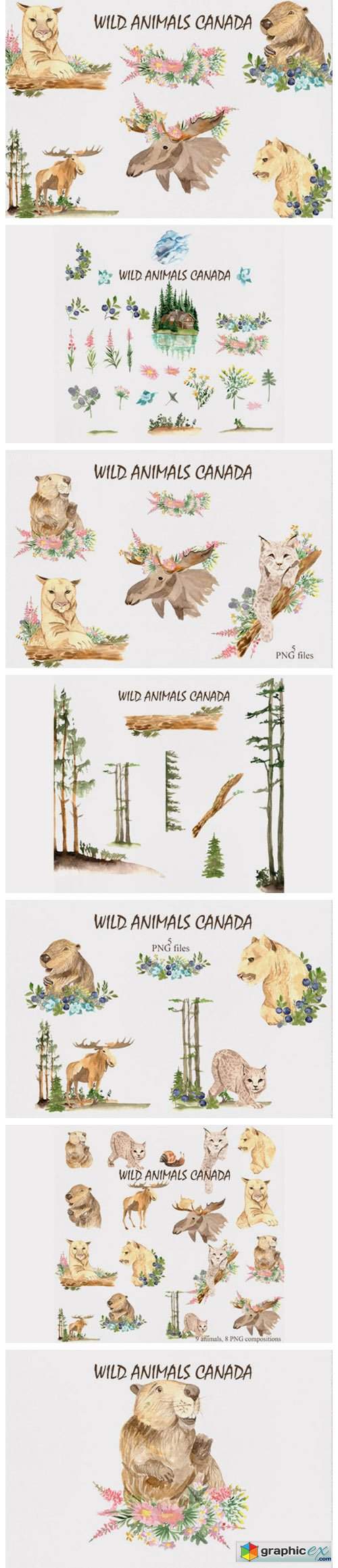  Wild Animals of Canada 
