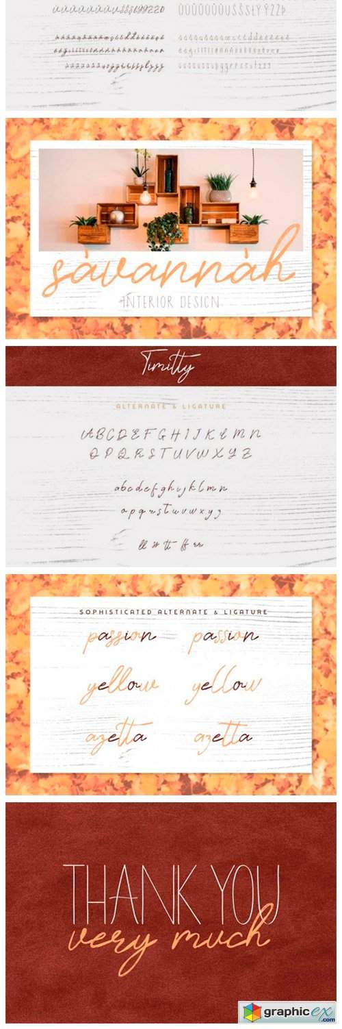  Timitty Duo Font 