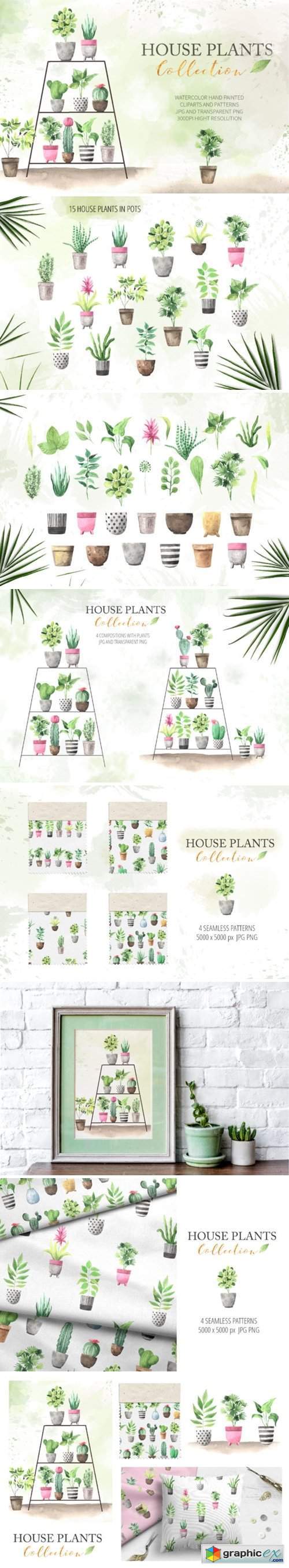 Watercolor House Plants Collection