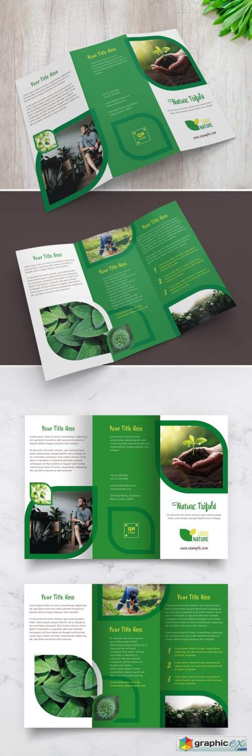 Nature Trifold Brochure Layout with Green Accents 