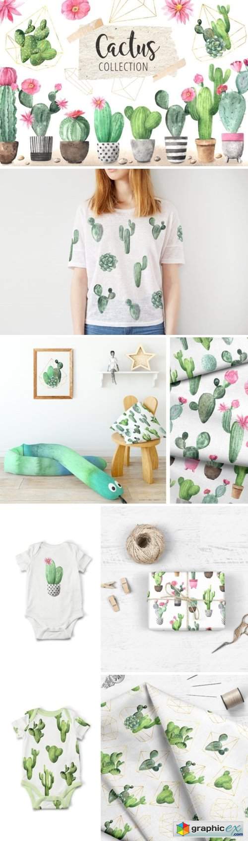  Watercolor Exotic Cactus Collection 