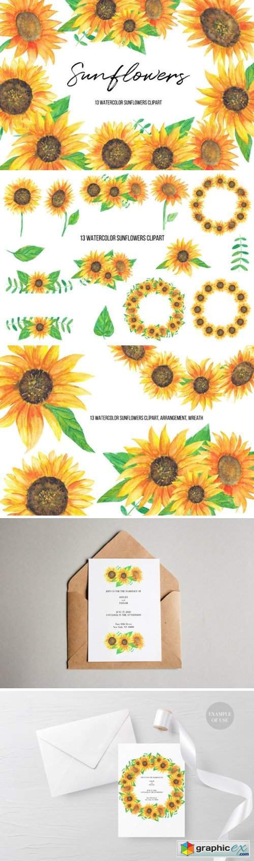 Watercolor Sunflowers Clipart