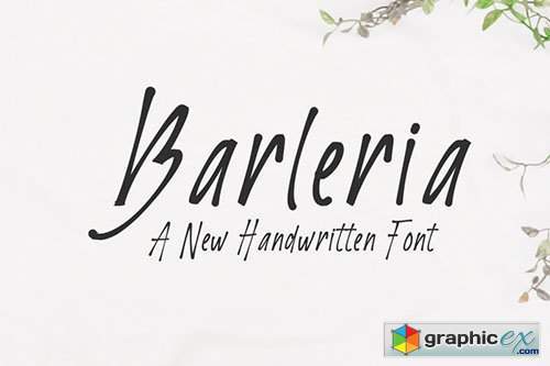 Barleria Script Font