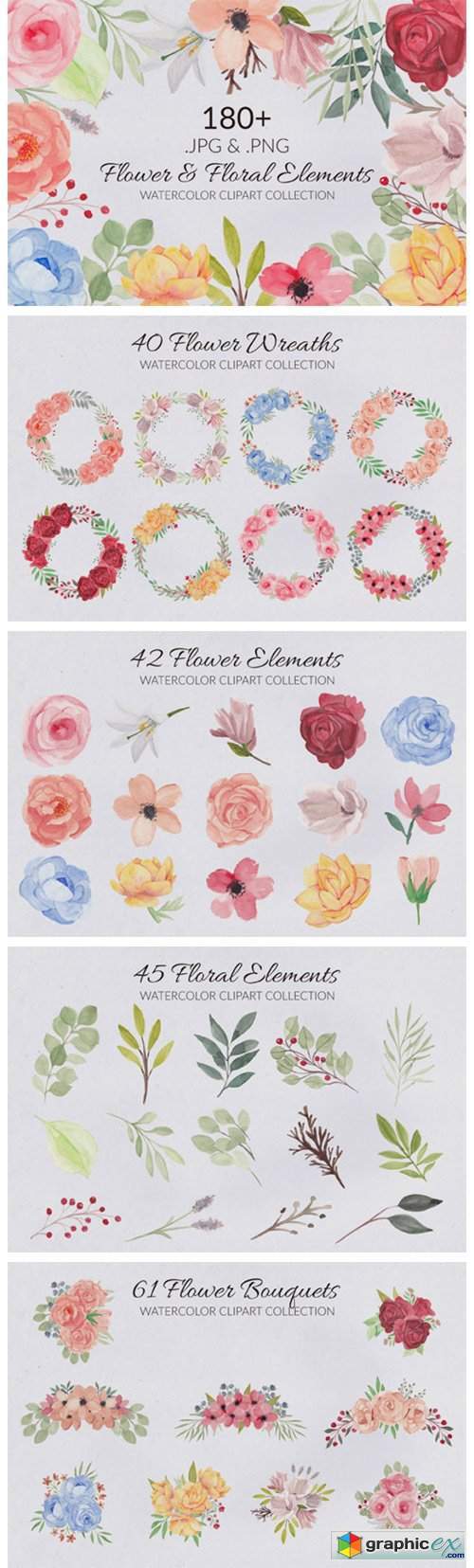 188 Flower and Floral Watercolor Set