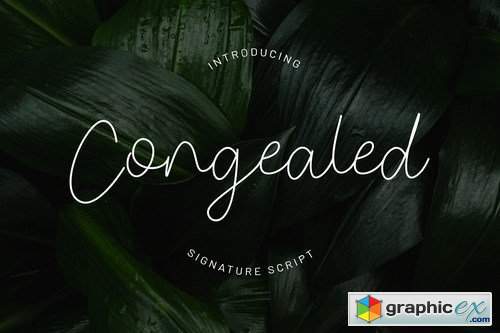 Congealed - Signature Script Font