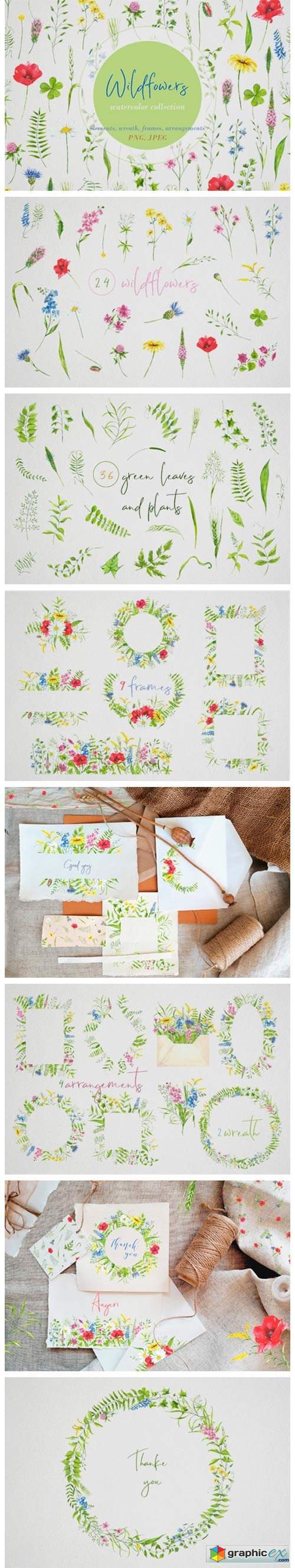 Watercolor Clipart Wildflowers, Plants