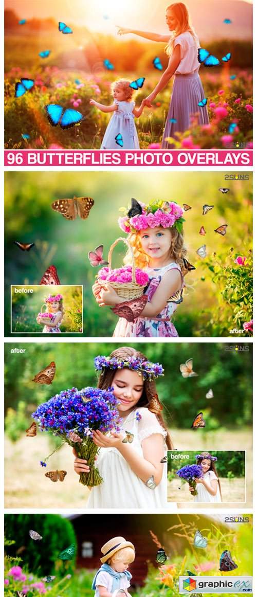 Butterfly Overlay, Butterflies Photoshop 